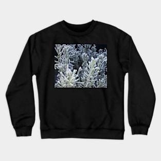 Winter, frozen lavender. Crewneck Sweatshirt